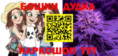 индика Балаково